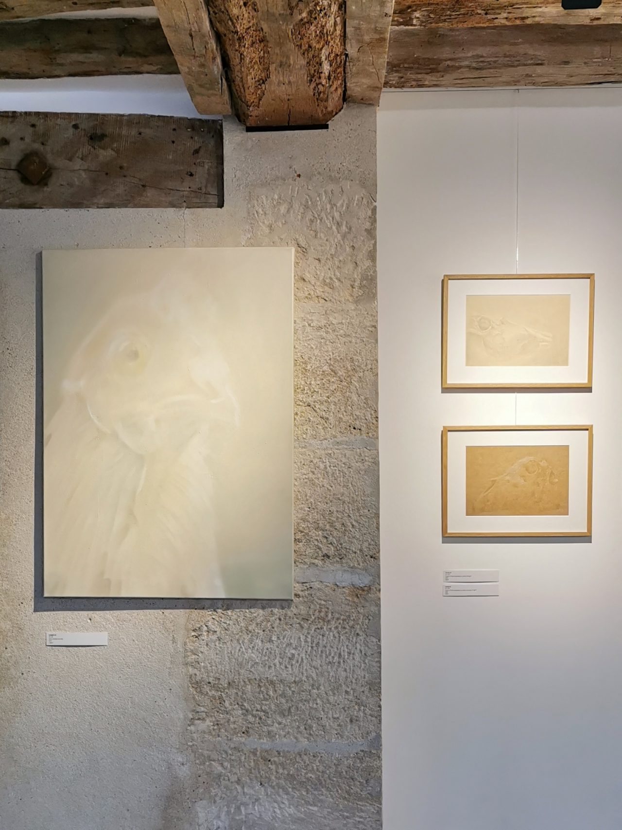 Alberto Ruse ISTINTI / ESTINTI, Alberto Ruce - ART'MURS
